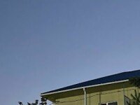 «Морская волна», Лермонтово