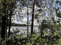 «Робинзонада» Дети Шпионов. Отряд особого назначения, Новгородская область