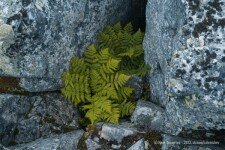 «Семейный лагерь», Абхазия