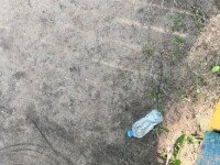 «Высоковский бор (ВыБор)», Рыбинск