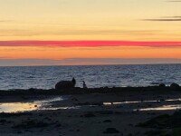 «Охотники за северным сиянием», Беломорск