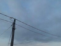 «Город Следопытов» Заезды в Лосево, Приозерск