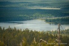 «Семейный лагерь», Абхазия