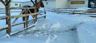 «Богдарня», Владимирская область