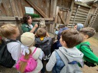 «Робинзонада. Музейная анималия», Москва