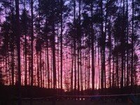 «Робинзонада» Дети Шпионов. Отряд особого назначения, Новгородская область