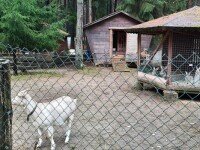 «Солнечный Остров», Всеволожск