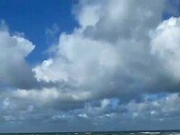 «Английский клуб Royal», Москва