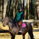 Мотолагерь «Komandor Camp», Рязань