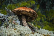 «Семейное путешествие», Дагестан