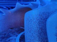 «Мореон», Москва