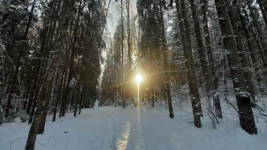 «Манга-лагерь», Сергиев Посад