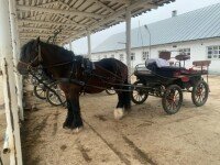 «Богдарня», Владимирская область
