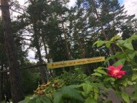 «Камчатка», Ленинградская область