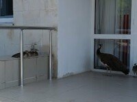 Россия. Крым