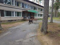 Зеленый огонек