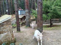 «Солнечный Остров», Всеволожск