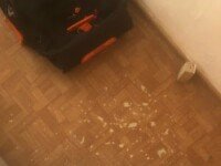 «Высоковский бор (ВыБор)», Рыбинск