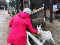 «Солнечный Остров», Всеволожск