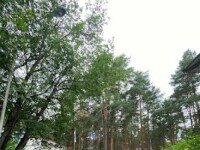 Международный детский компьютерный лагерь (МДКЦ). Ярославская область