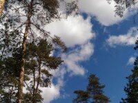 Зеленый огонек